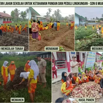 Pemanfaatan Lahan Sekolah untuk Ketahanan Pangan dan Peduli 
